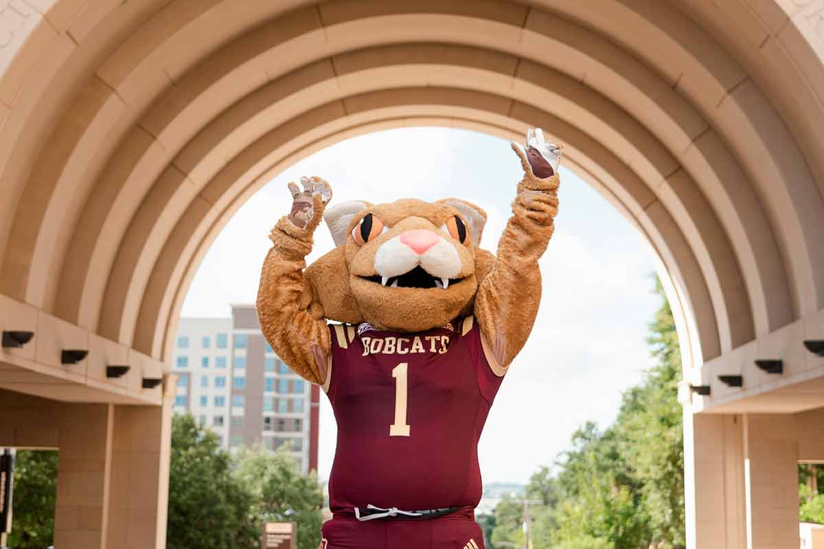 boko the bobcat